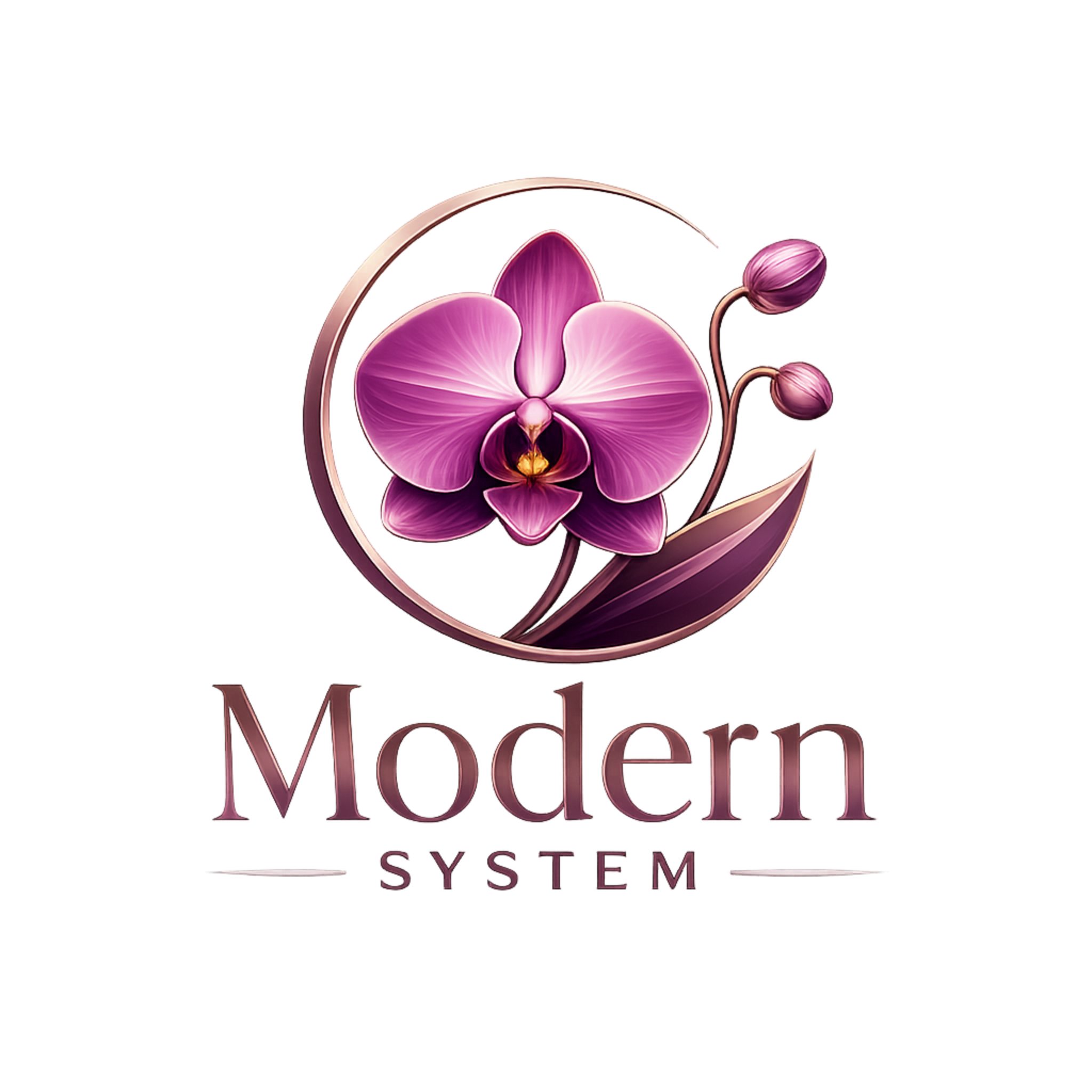 Modern System Logo